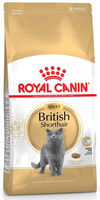 Сухий корм для дорослих кішок Royal Canin British Shorthair Adult 10 кг (3182550756464)