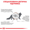 Сухий корм для дорослих кішок Royal Canin Gastro Intestinal 2 кг (3182550771290)