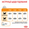 Сухий корм для кішок Royal Canin Hair & Skin Care 10 кг (3182550721752)