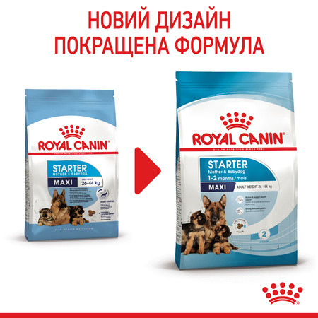 Сухий корм Royal Canin Maxi Starter для цуценят великих порід до 2 місяців 4 кг (3182550778770)