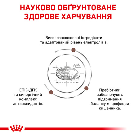 Сухий корм для дорослих кішок Royal Canin Gastro Intestinal 2 кг (3182550771290)