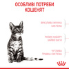 Сухий корм Royal Canin Kitten Sterilised для стерилізованих кошенят 2 кг (3182550805186)