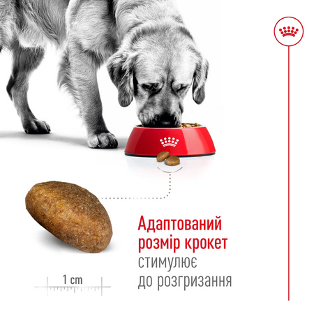 Сухий корм Royal Canin Maxi Adult для дорослих собак великих порід 15 кг (3182550401937)