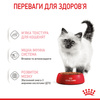 Вологий корм Royal Canin KITTEN INSTINCTIVE IN GRAVY (Соус) для кошенят 85 г (9003579308943)