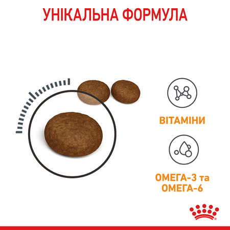 Сухий корм для кішок Royal Canin Hair & Skin Care 2 кг (3182550721738)