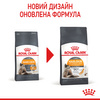 Сухий корм для кішок Royal Canin Hair & Skin Care 10 кг (3182550721752)