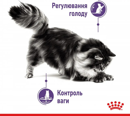 Вологий корм для дорослих кішок Royal Canin Appetite Control Care в соусі 85 г (9003579014905)