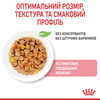 Вологий корм Royal Canin Kitten in Jelly для кошенят 85г (9003579311714)