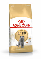 Сухий корм для дорослих кішок Royal Canin British Shorthair Adult 4 кг (3182550756440)