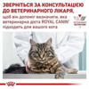 Сухий Корм Royal Canin Mobility Feline 2 кг (3182550767644)