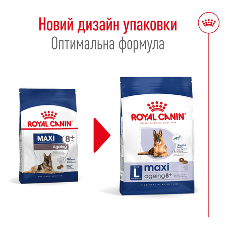 Сухий корм Royal Canin MAXI AGEING 8+ для старіючих собак Великих порід 15 кг (3182550803113)