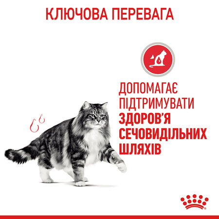 Сухий корм для кішок Royal Canin Urinary Care 10 кг (3182550842969)