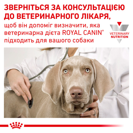 Сухий корм для собак Royal Canin Gastrointestinal Low Fat 12 кг (3182550771177)