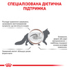 Сухий корм для дорослих кішок Royal Canin Gastro Intestinal Cat 2 кг (3182550771252)