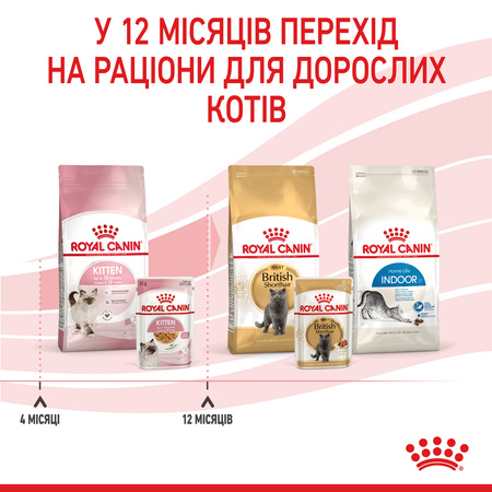 Вологий корм Royal Canin Kitten in Jelly для кошенят 85г (9003579311714)