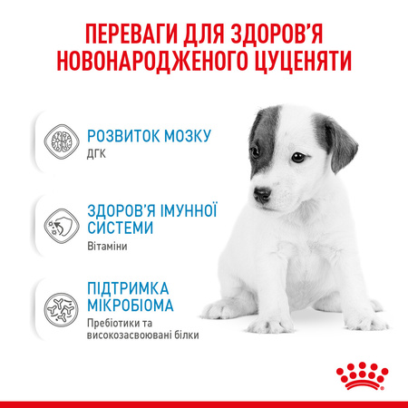 Замінник молока Royal Canin Babydog Milk для цуценят з народження (182550768658)