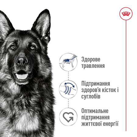 Сухий корм Royal Canin Maxi Adult для дорослих собак великих порід 15 кг (3182550401937)