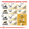 Сухий корм для дорослих кішок Royal Canin British Shorthair Adult 10 кг (3182550756464)