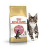 Сухий корм для кошенят Royal Canin Mainecoon Kitten 2 кг (3182550816502)