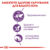 Паучі Royal Canin STERILISED JELLY 85 г (9003579311776)