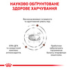 Сухий корм для дорослих котів при хворобах печінки Royal Canin Hepatic Feline 2 кг (3182550787963)