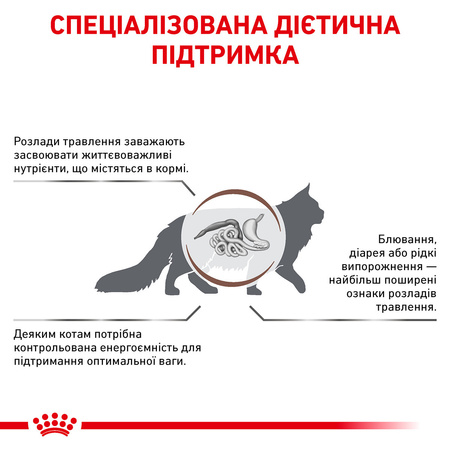 Сухий корм для дорослих кішок Royal Canin Gastro Intestinal 2 кг (3182550771290)