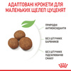 Сухий корм Royal Canin Giant Puppy для щенят гігантських порід 1 кг (3182550707022)