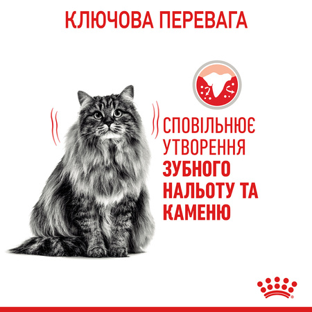 Сухий корм з птицею для запобігання зубного нальоту Royal Canin Dental Care 400 г (3182550717175)