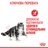 Сухий корм для котів Royal Canin Urinary Care 2 кг (3182550842938)