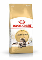 Сухий корм Royal Canin Maine Coon Adult для кішок породи Мейн-кун 2 кг (3182550710640)