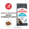 Сухий корм для кішок Royal Canin Urinary Care 400 г (3182550842907)