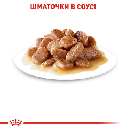 Вологий корм Royal Canin INSTINCTIVE IN GRAVY (Соус) для дорослих кішок 85 г (9003579308936)