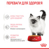 Вологий корм Royal Canin Kitten in Jelly для кошенят 85г (9003579311714)