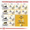 Сухий корм Royal Canin SPHYNX ADULT для дорослих кішок породи Сфінкс 10 кг (3182550758857)