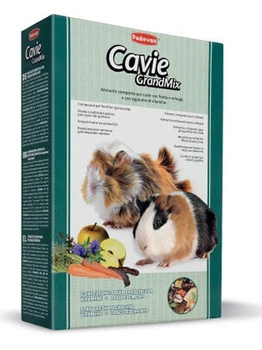 Корм для морських свинок PADOVAN GrandMix Cavie 850 г (8001254001906)