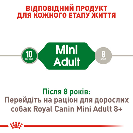 Сухий корм Royal Canin Mini Adult для собак дрібних порід 2 кг (3182551055696)