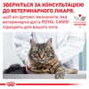 Сухий корм для дорослих кішок Royal Canin Urinary S/O Cat 9 кг (3182550785242)