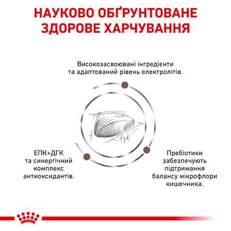 Сухий корм для дорослих кішок Royal Canin Gastro Intestinal Cat 2 кг (3182550771252)