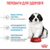 Сухий корм Royal Canin Giant Puppy для щенят гігантських порід 1 кг (3182550707022)