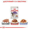 Паучі Royal Canin STERILISED JELLY 85 г (9003579311776)