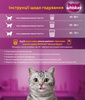 Сухий корм для дорослих кішок Whiskas з куркою 14 кг (5900951014352)