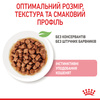 Вологий корм Royal Canin KITTEN INSTINCTIVE IN GRAVY (Соус) для кошенят 85 г (9003579308943)