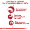 Вологий корм Royal Canin INSTINCTIVE IN GRAVY (Соус) для дорослих кішок 85 г (9003579308936)