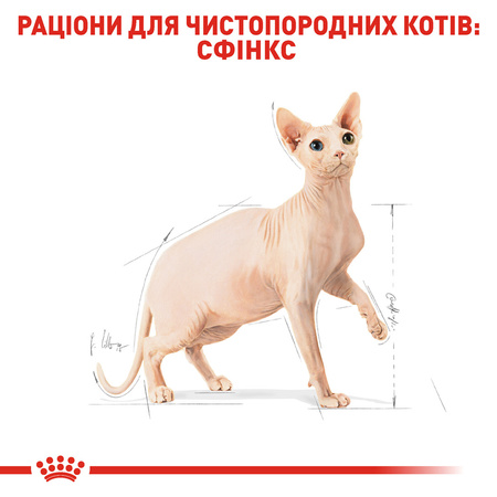 Сухий корм Royal Canin SPHYNX ADULT для дорослих кішок породи Сфінкс 10 кг (3182550758857)