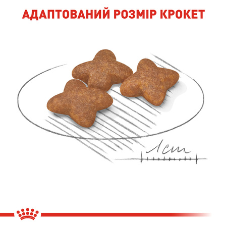 Сухий корм Royal Canin Mini Adult для собак дрібних порід 800 г (3182550793124)