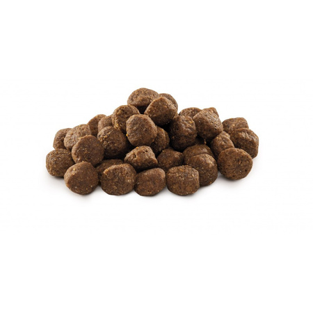 Сухий корм Brit Premium Dog Junior M для цуценят та юніорів середніх порід 15 кг (8595602526338)
