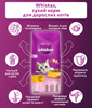 Сухий корм для дорослих кішок Whiskas з куркою 14 кг (5900951014352)