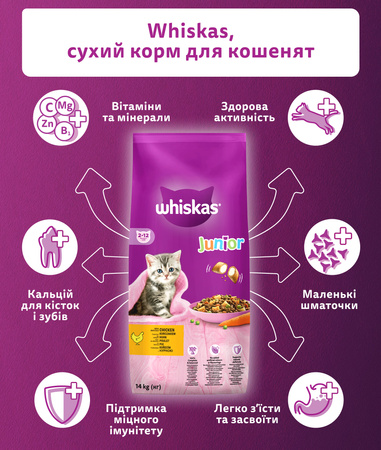 Сухий корм для кошенят Whiskas з куркою 14 кг (5900951014369)