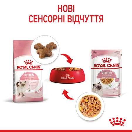 Вологий корм Royal Canin Kitten in Jelly для кошенят 85г (9003579311714)