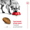 Сухий корм Royal Canin MAXI AGEING 8+ для старіючих собак Великих порід 15 кг (3182550803113)